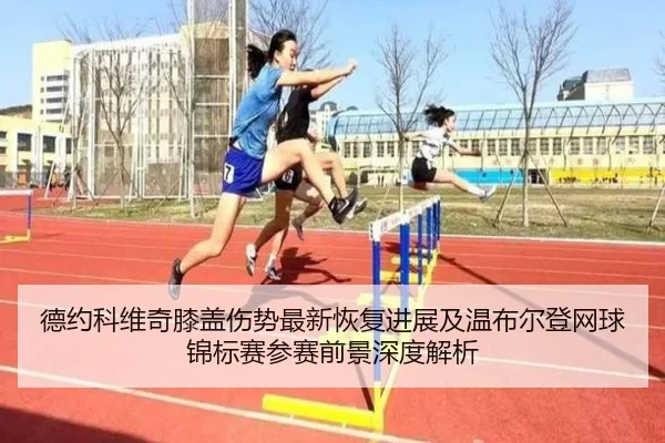 德约科维奇膝盖伤势最新恢复进展及温布尔登网球锦标赛参赛前景深度解析
